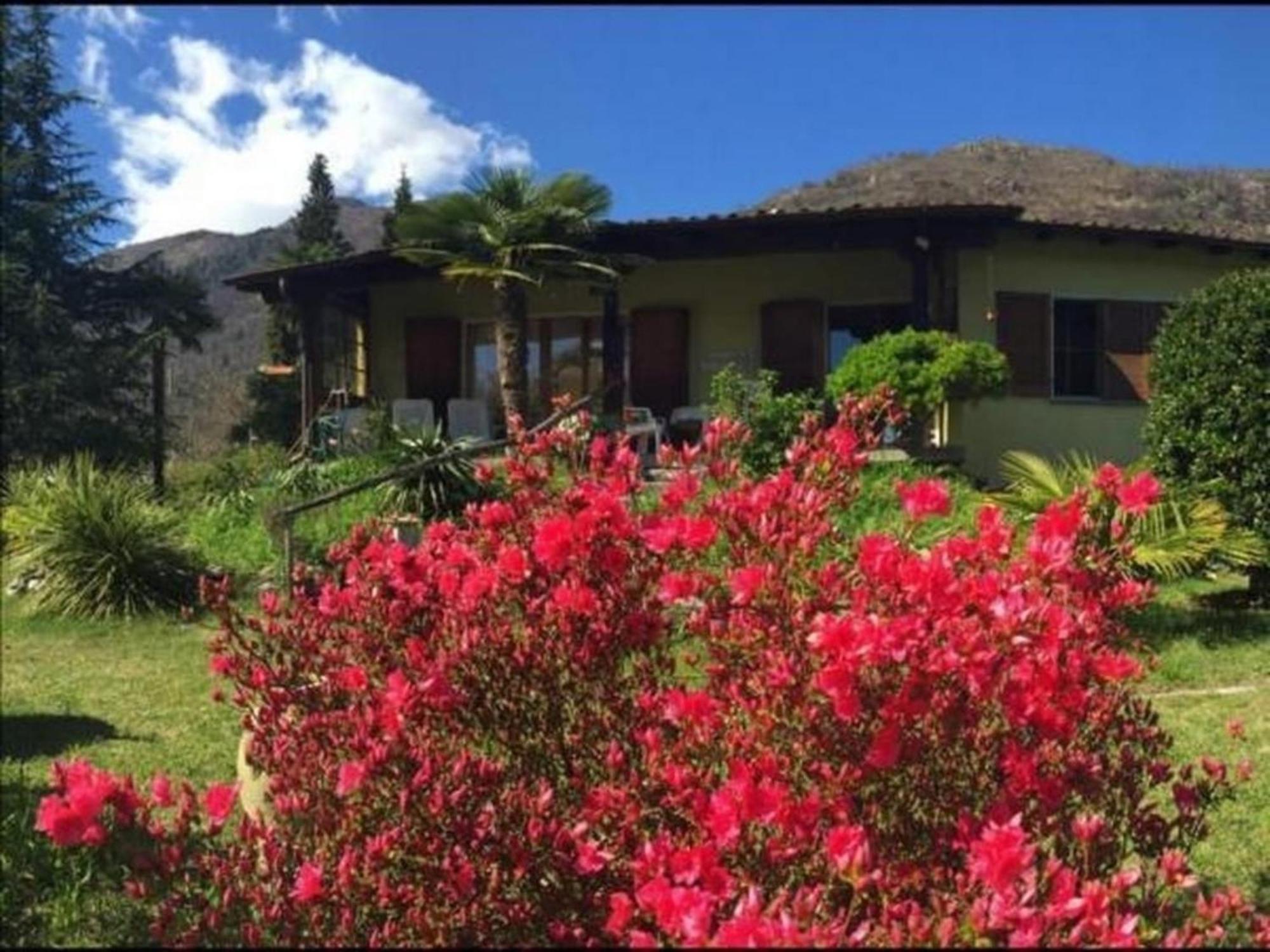 """Casa Elena -Tegna"" Die Ruheoase In Grossem Garten" Экстерьер фото